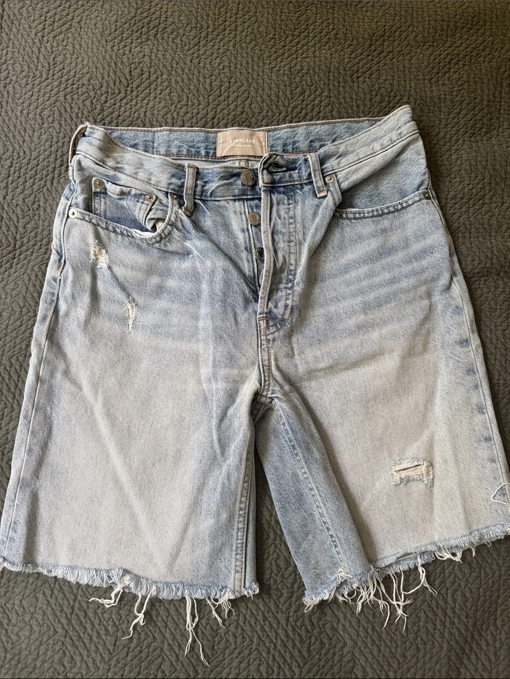 Everlane Cheeky Long Short